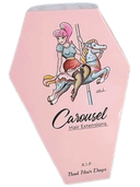 Carousel Pride Coffin