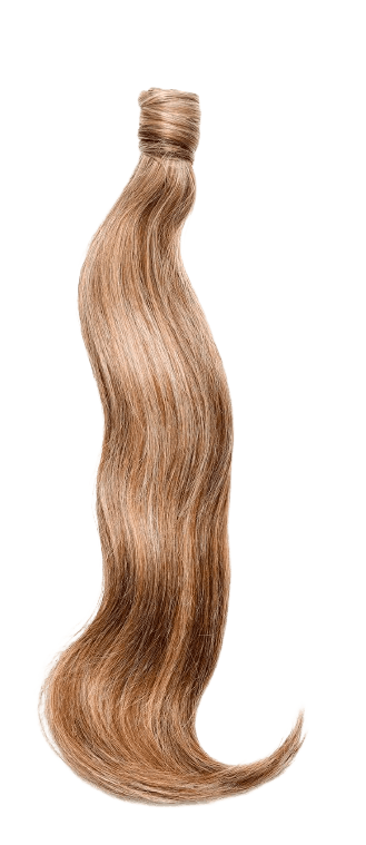 Carousel Ponytail Extensions